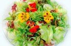 Salada de Verão - Culinária URA Online - Uberaba/MG