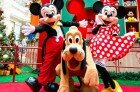 Foto_Meet&Greet_Mickey Minnie e Pluto